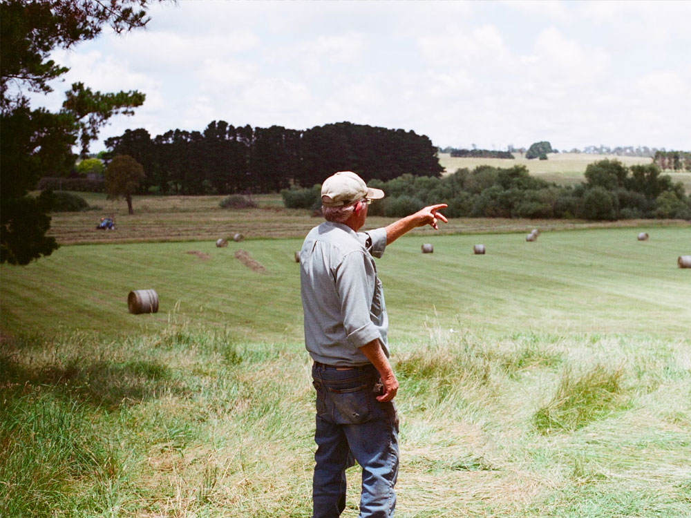 image of farm